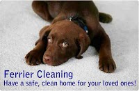 Ferrier Cleaning Specialists 354719 Image 0